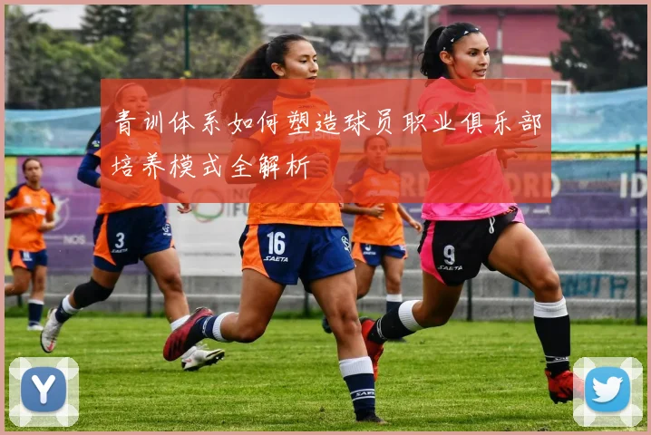 青训体系如何塑造球员职业俱乐部培养模式全解析