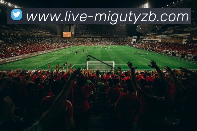 咪咕体育直播平台生态图